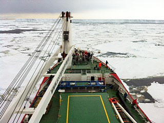 Antarctic
