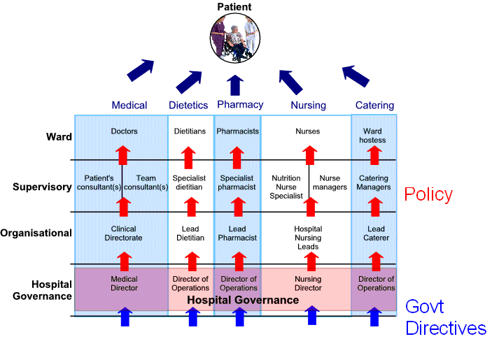 Hospital Governance Diagram