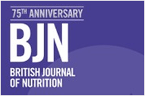 BJN Journal logo